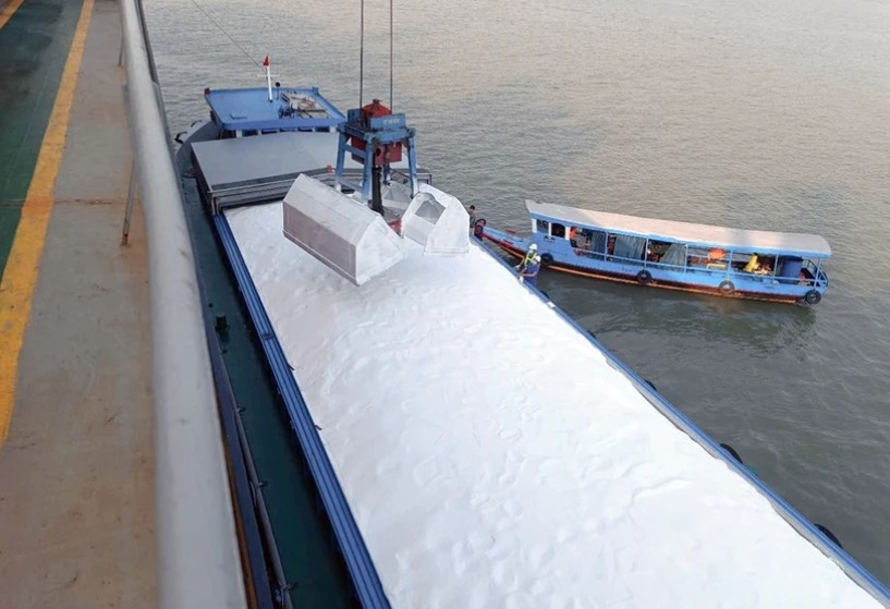 Fertiliser exports – bright spot for Petrovietnam Ca Mau Fertiliser JSC in H1